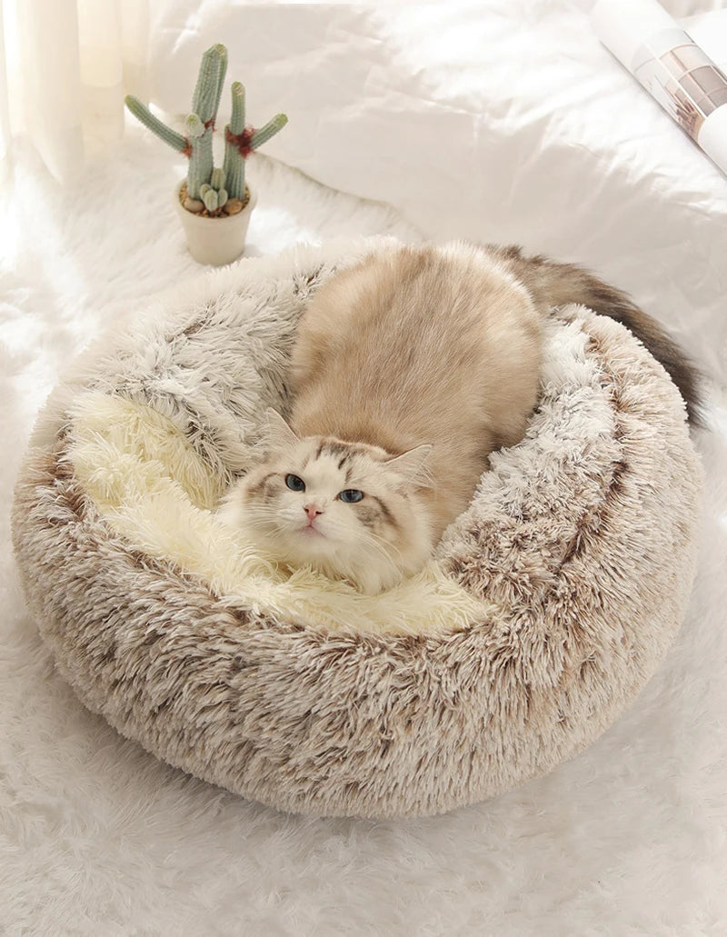 Cozy Cove Pet Bed