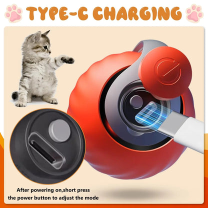 turbo tail 2.0